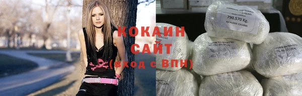 гашик Вяземский