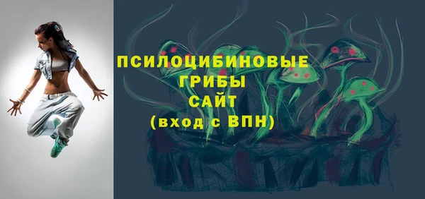гашик Горно-Алтайск