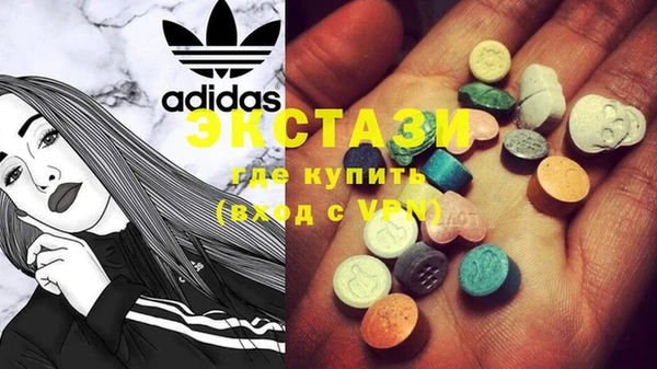гашик Вяземский