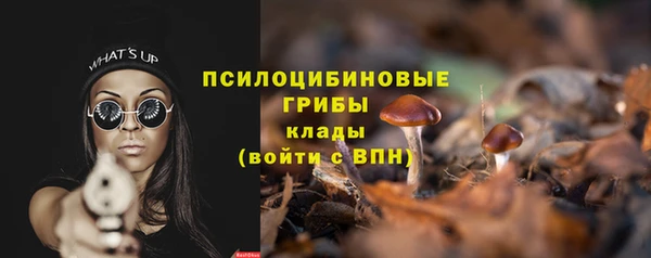 мяу мяу мука Горняк