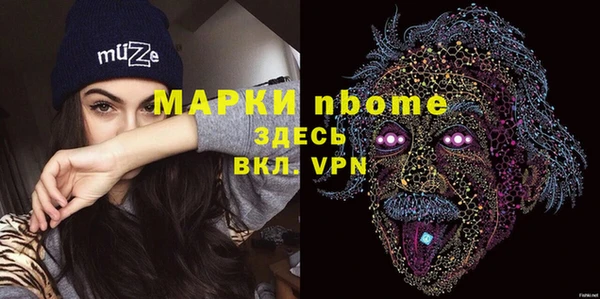 гашик Вяземский