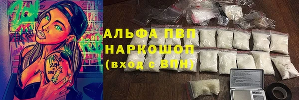 гашик Горно-Алтайск