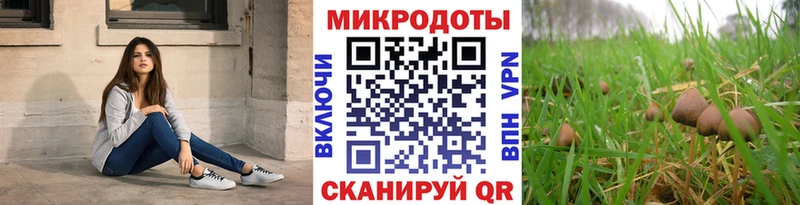 купить наркотик  Жирновск  Псилоцибиновые грибы Psilocybe 